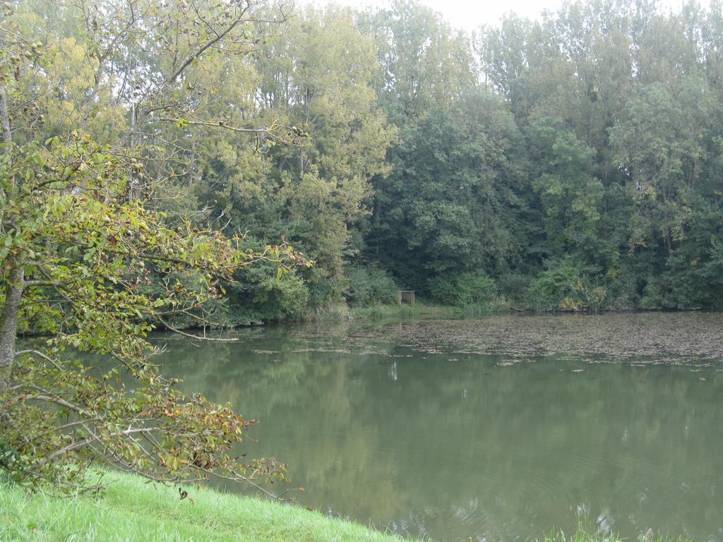 La Coutrotte Becquine Hotell Heuilley-sur-Saone Exteriör bild